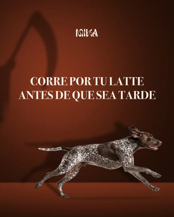 MIKA: “Corre por tu latte antes de que sea tarde”, con un perro corriendo